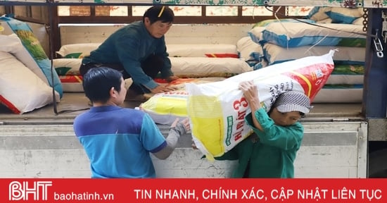 Providing 20 tons of rice seeds to farmers in Huong Son