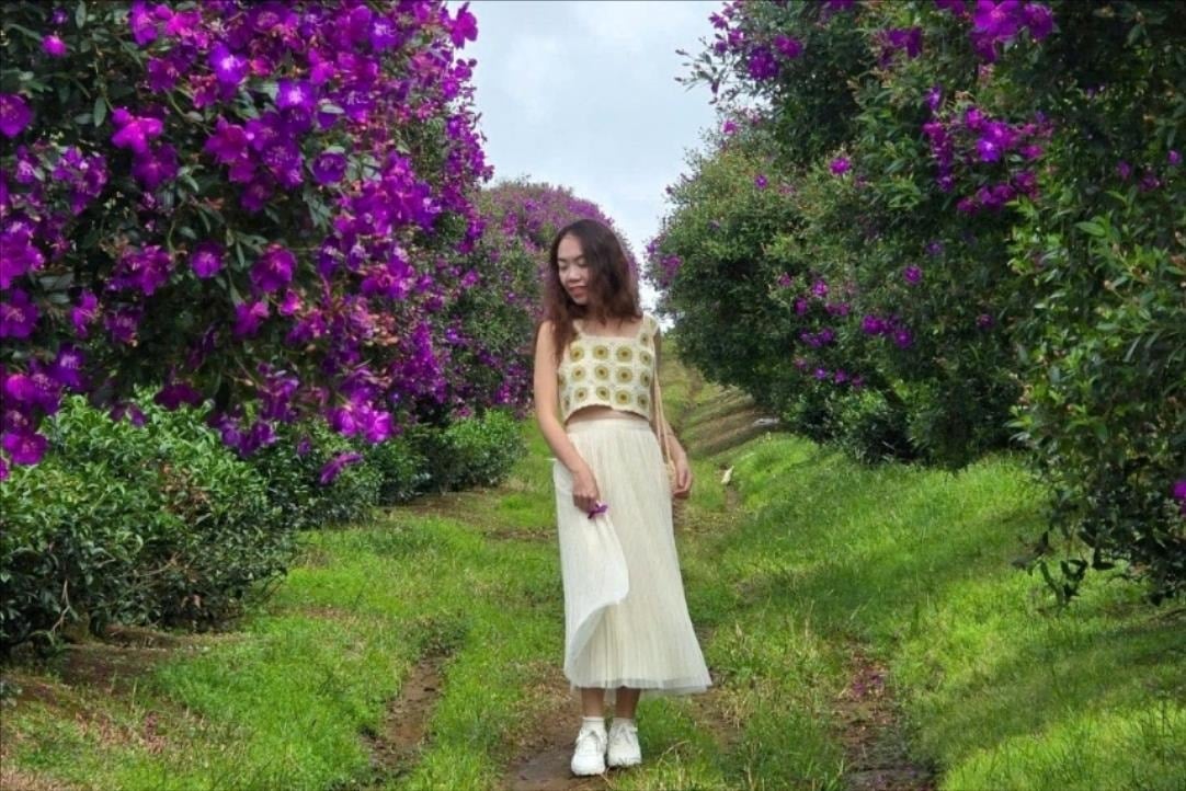 Junge Leute strömen auf die Farm in Lam Dong, um sich die wunderschönen lila Mua-Blumen anzusehen