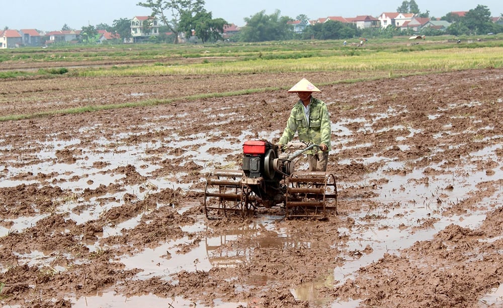 Để sản xuất vụ Xuân thắng lợi