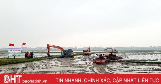 Huyện Kỳ Anh có thêm cánh đồng lớn 60ha