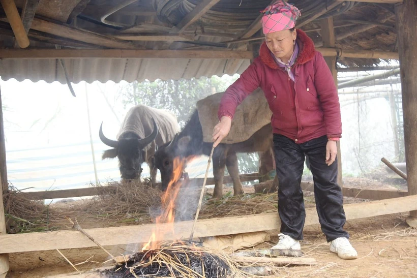 Thời tiết đầu tuần: Vùng núi Bắc Bộ trời rét, nhiệt độ có nơi dưới 16 độ C