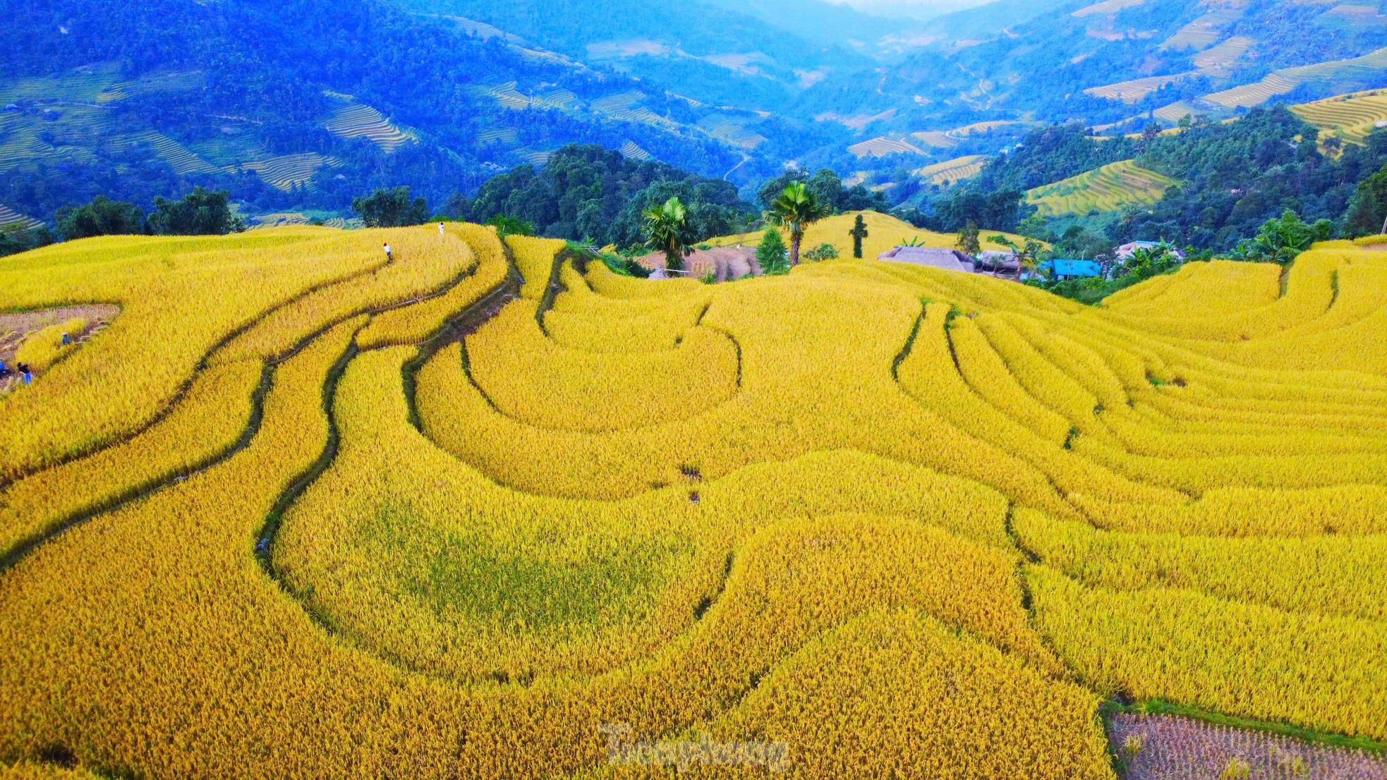 Mê mẩn khung cảnh tuyệt đẹp ở chân núi Tây Côn Lĩnh ảnh 3