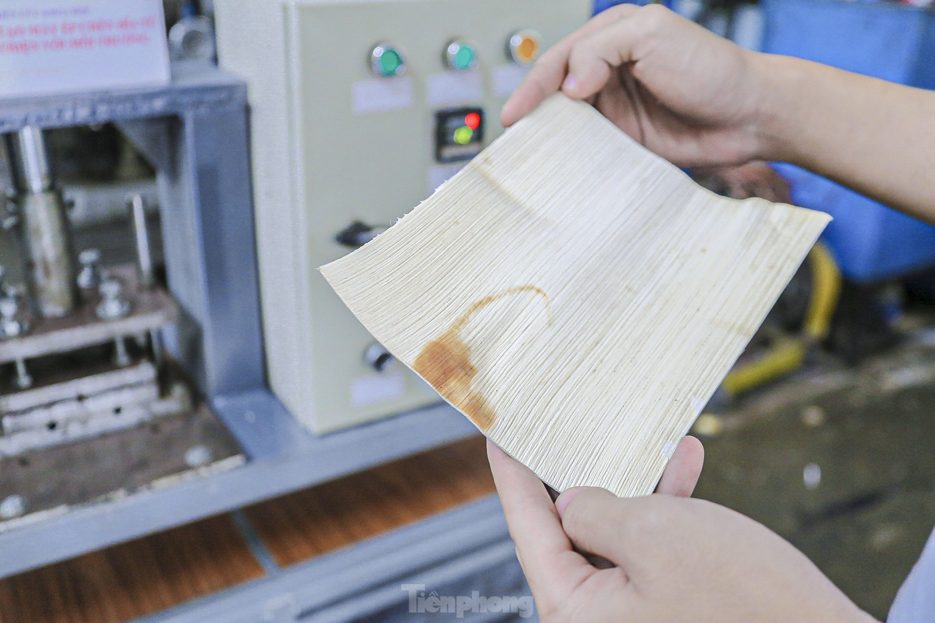 Estudiantes de Da Nang inventan una prensa para platos hecha con materiales ecológicos (foto 10)