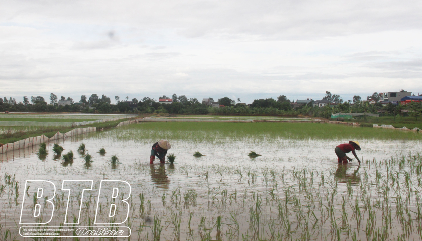 ជំនះ​ផល​វិបាក​ទឹក​ជំនន់​ជា​បន្ទាន់