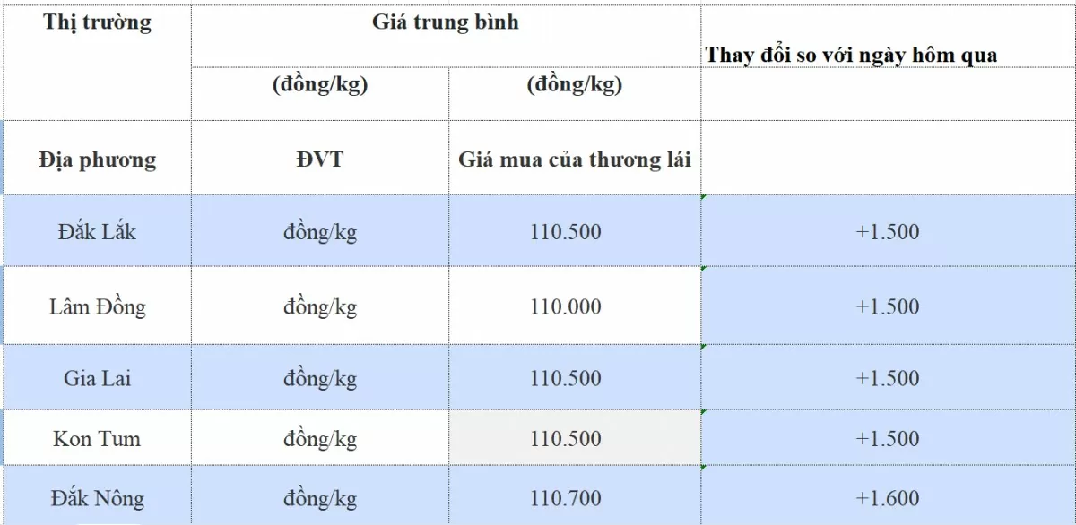 Giá cà phê hôm nay 30/10/2024: