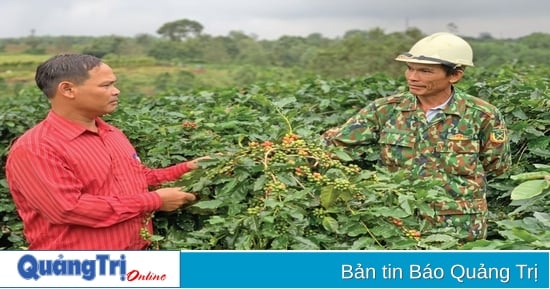 Nhiều sản phẩm hàng hóa đặc trưng, thế mạnh của các địa phương đã được đăng ký bảo hộ