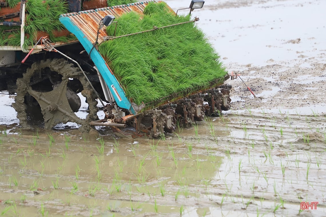 Nông dân Hà Tĩnh “đua” tiến độ gieo cấy lúa xuân