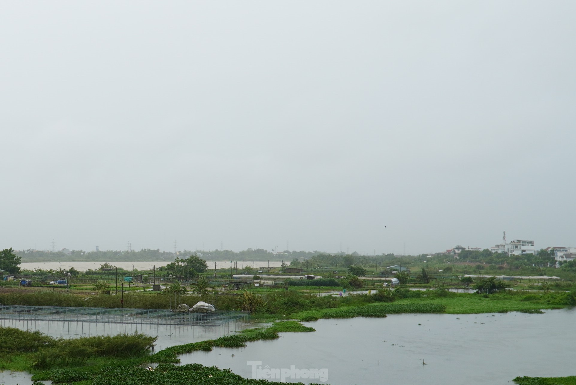 Nach anhaltendem Regen steht das größte Gemüseanbaugebiet in Da Nang unter Wasser. „Die Menschen können nicht rechtzeitig reagieren“, Foto 10.