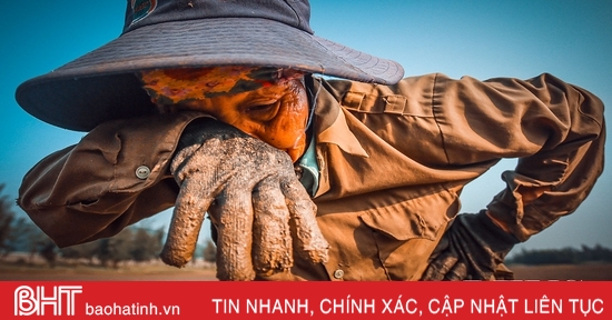 “Thân cò” nơi cửa biển Lạch Kèn…