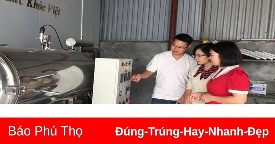 Phát triển đa dạng ngành nghề nông thôn