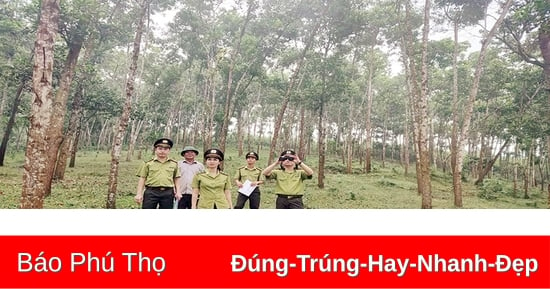 ปกป้องป่าตั้งแต่รากในThanh Son