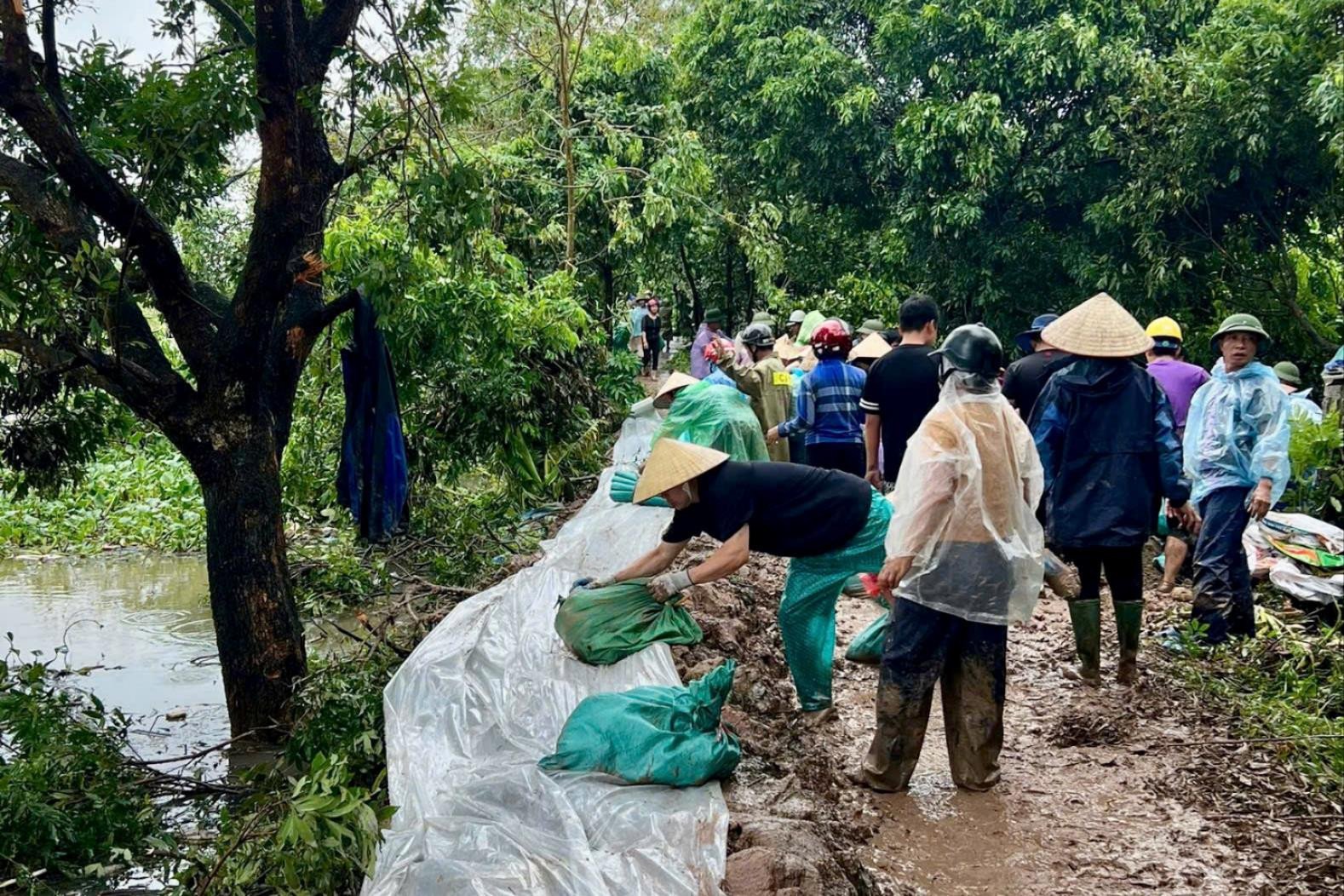 Concentrating on preventing the overflow of Bac Hung Hai canal in Hai Duong