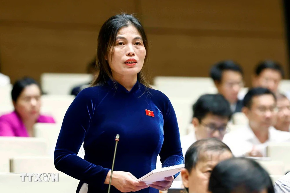 National Assembly delegate of Quang Tri province Ho Thi Minh. (Photo: Doan Tan/VNA)