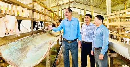 บริษัทลองโฮพัฒนารูปแบบการเลี้ยงแพะและวัวเพื่อการสืบพันธุ์คุณภาพสูงในแนวทางด้านความปลอดภัยทางชีวภาพมากมาย
