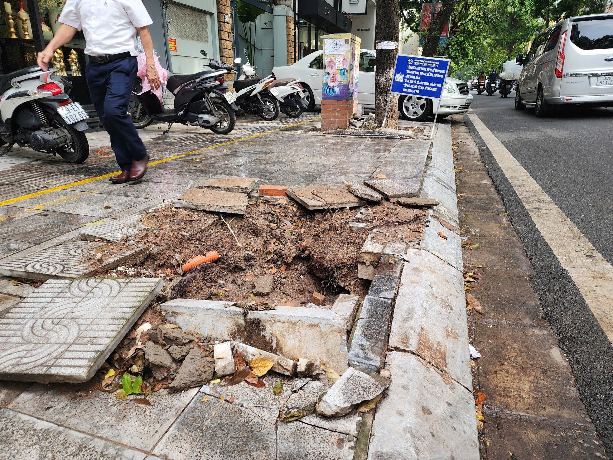 After cleaning up fallen trees, Hanoi begins to rebuild green space photo 8