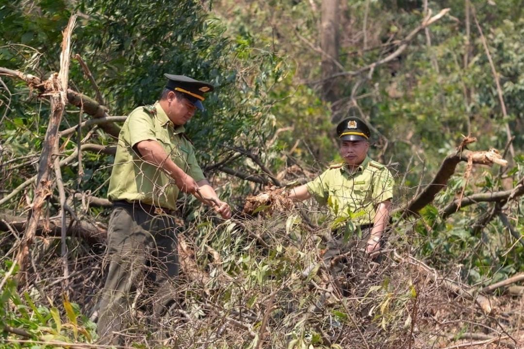 Hohes Waldbrandrisiko in Chi Linh, Kinh Mon