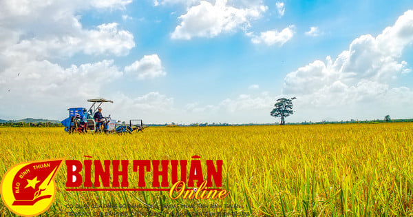 Tánh Linh hướng đến phát triển ngành nông nghiệp hiện đại