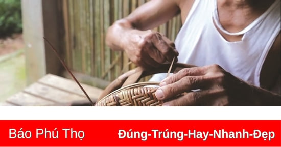 Chiếc ghế mây của cha