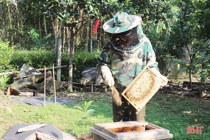 Liên kết sản xuất, tiêu thụ mật ong để nâng cao thu nhập