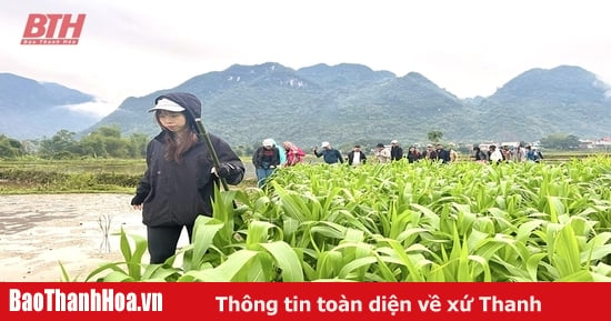 Phát triển trekking tour theo hướng chuyên nghiệp, hấp dẫn