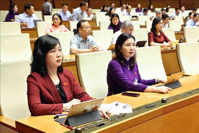 National Assembly Delegates Voting.jpg