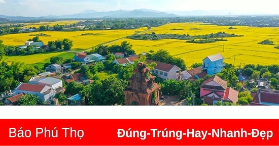 Dấu xưa rong ruổi Gò Bồi