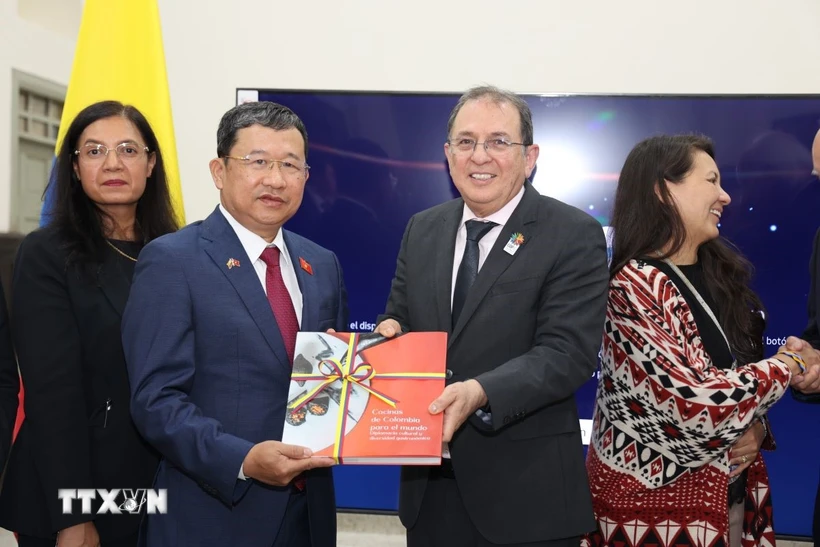 Vietnam-Colombia relations increasingly becoming more substantial