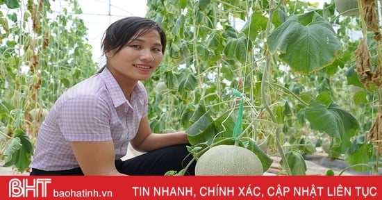 Nữ cán bộ thôn đảm việc xã hội, giỏi làm kinh tế