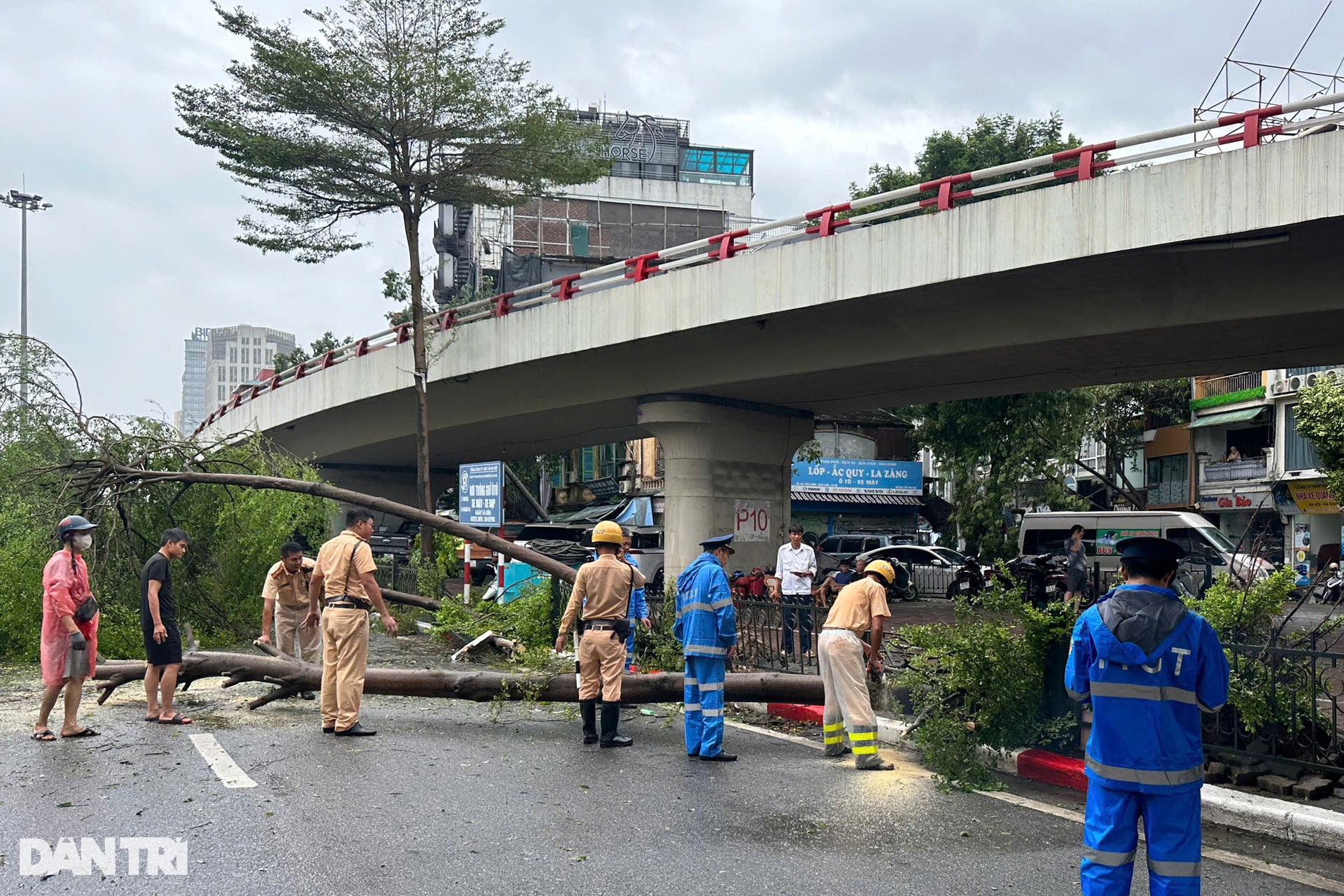 Hà Nội khẩn trương thu dọn cây đổ, khắc phục hậu quả sau bão - 16