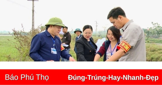 Tổ chức cưỡng chế thực hiện Quyết định kiểm đếm bắt buộc tại xã Xuân Huy