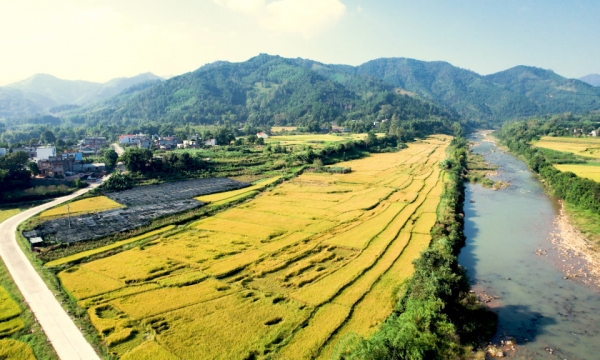 ពណ៌និទាឃរដូវនៅជនបទផ្លាស់ប្តូរ