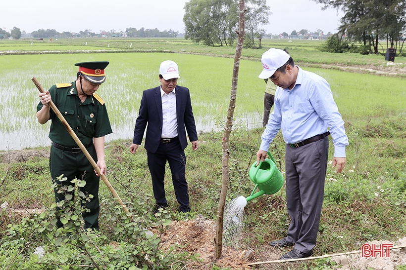 អង្គភាពជាច្រើនបន្តបើកយុទ្ធនាការដាំដើមឈើនៅដើមឆ្នាំថ្មី។