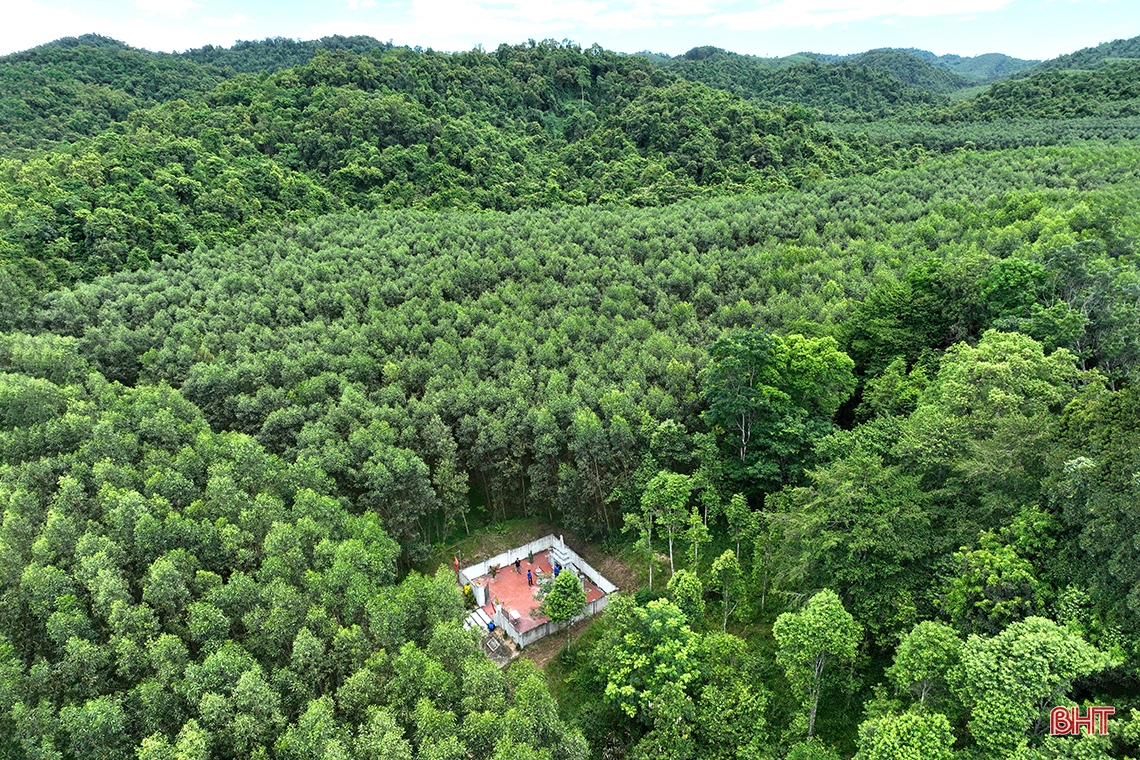 Visita al santuario de seis jóvenes voluntarias mártires en medio del bosque de Huong Khe