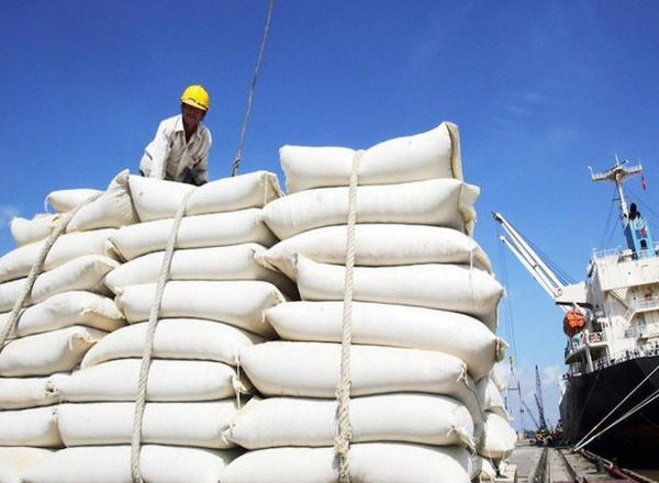 Dự báo thị trường gạo 2025 tiếp tục khởi sắc - Ảnh 1.