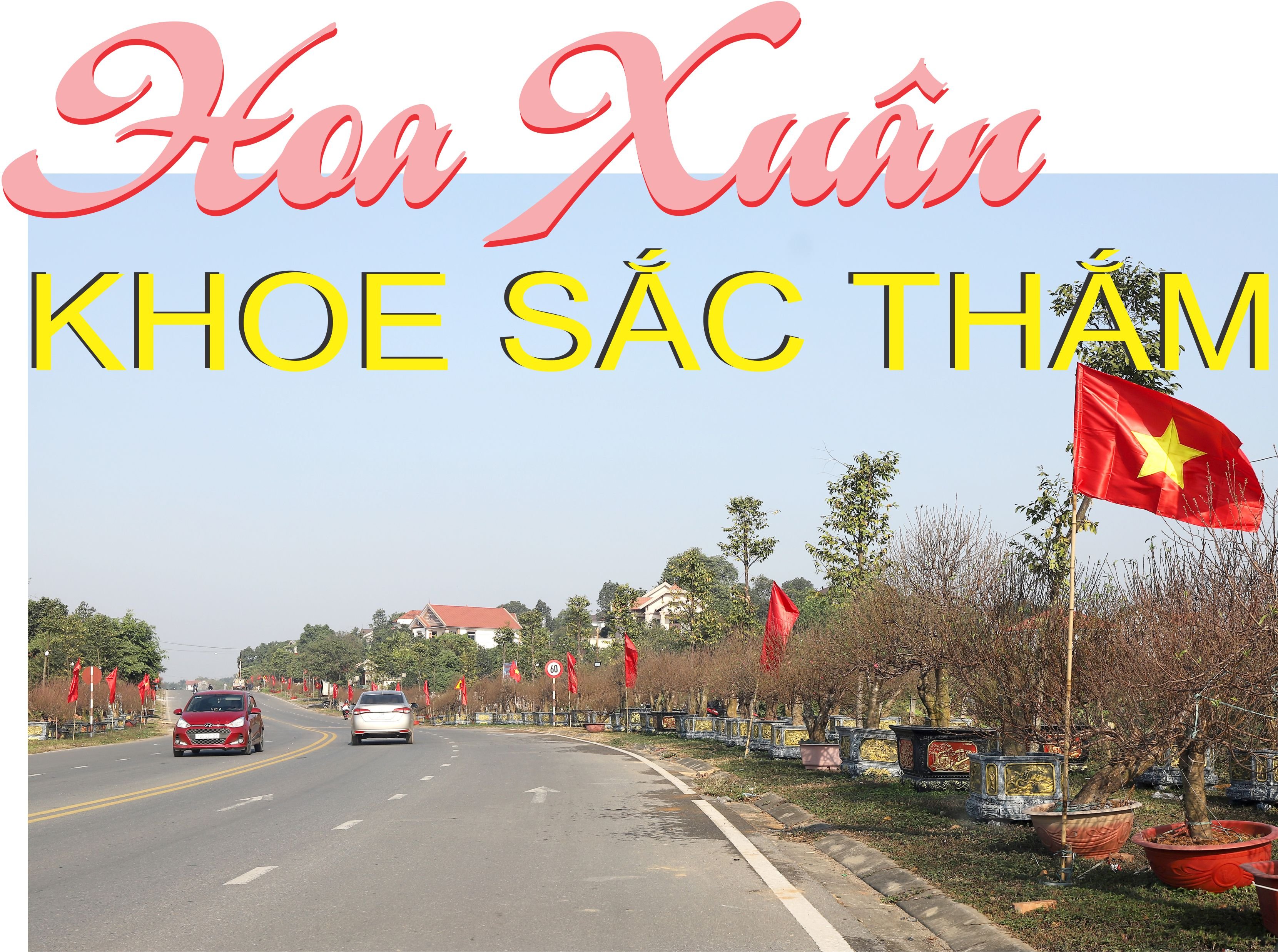 Hoa Xuân khoe sắc thắm