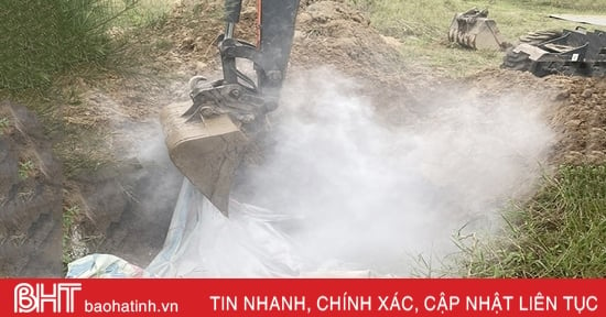 Nghi Xuân công bố vùng bị dịch tả lợn châu Phi