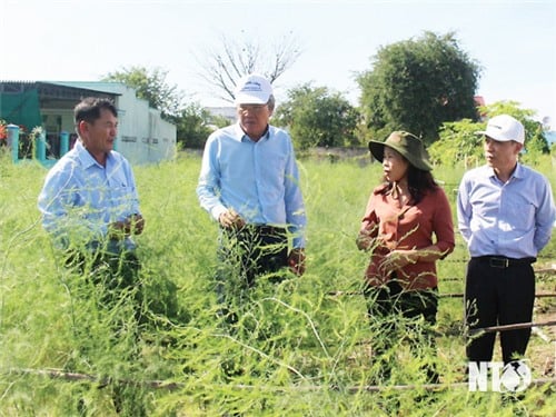 Promouvoir la tradition et la force de la solidarité nationale, construire la patrie de Ninh Thuan pour qu'elle soit de plus en plus prospère, civilisée et heureuse.