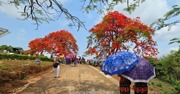 Unerwarteterweise das begehrteste Reiseziel in Vietnam