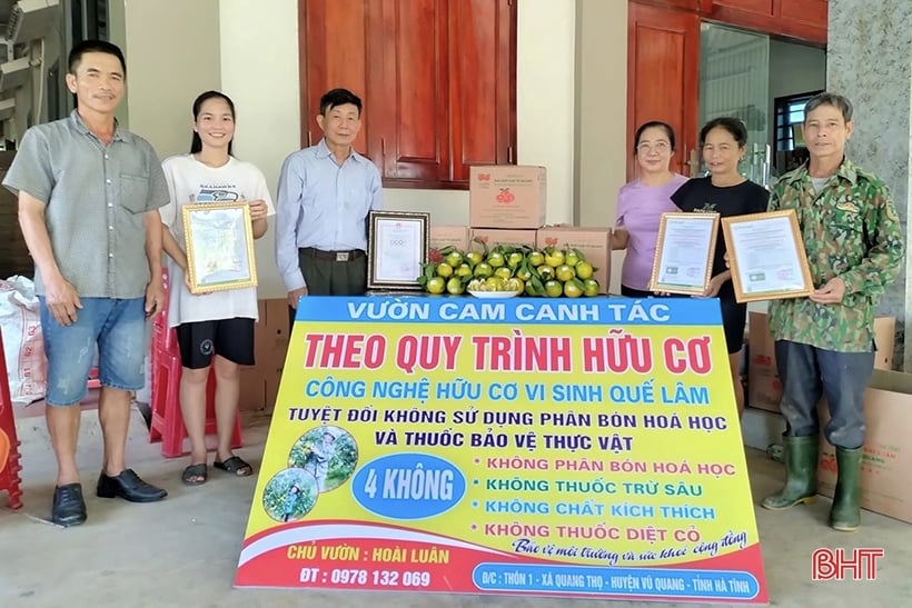 Ha Tinh tiene 60 modelos de producción agrícola orgánica.