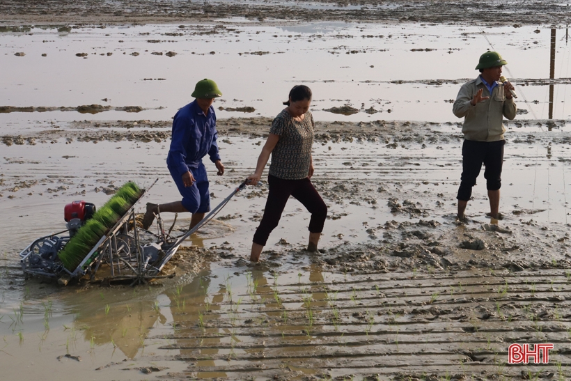 The first commune in Huong Son experiments with motorized rice transplanters