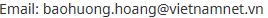 vn3.png