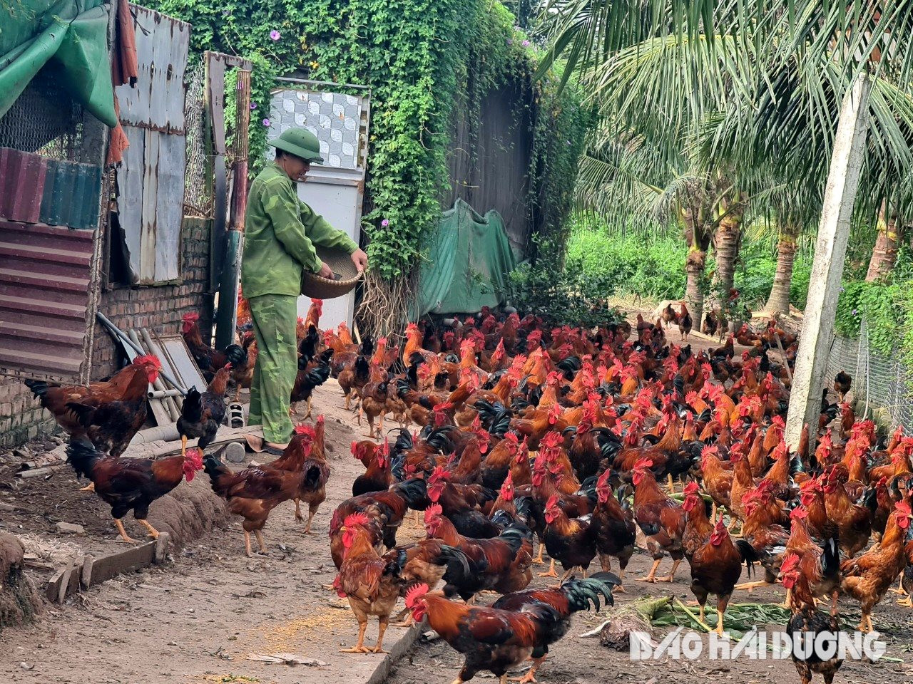 พี่ไก่.jpg