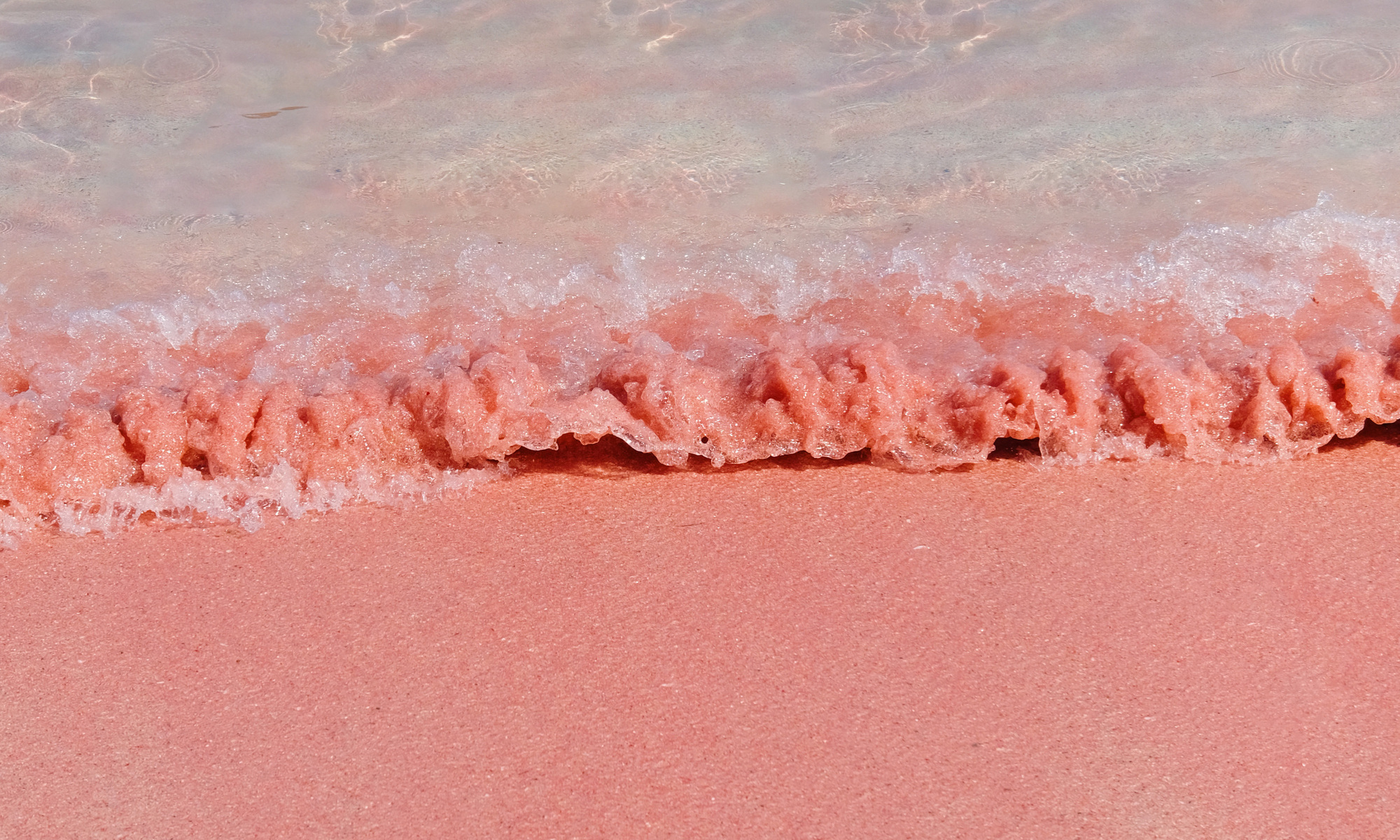 La plage rose d'Indonésie vue par les touristes vietnamiens