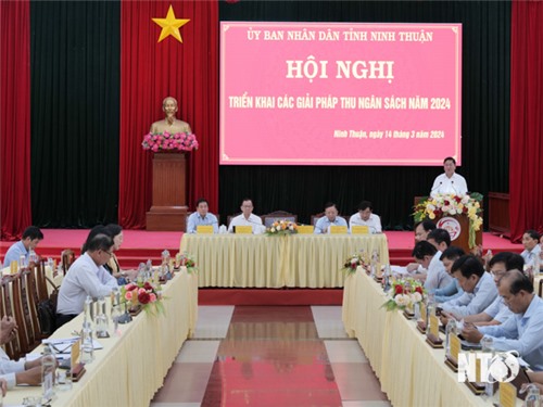 Hội nghị triển khai các giải pháp thu ngân sách Nhà nước năm 2024