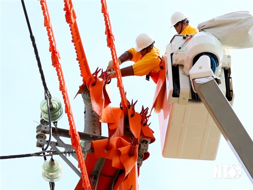 La compagnie d'électricité de Ninh Thuan met en service l'équipe de construction de réparation d'énergie chaude de 22 kV.