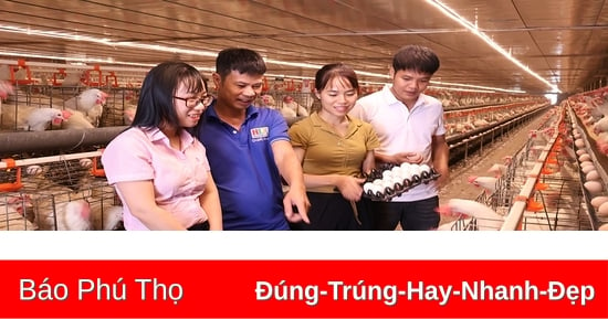 “Đòn bẩy” hỗ trợ giải quyết việc làm