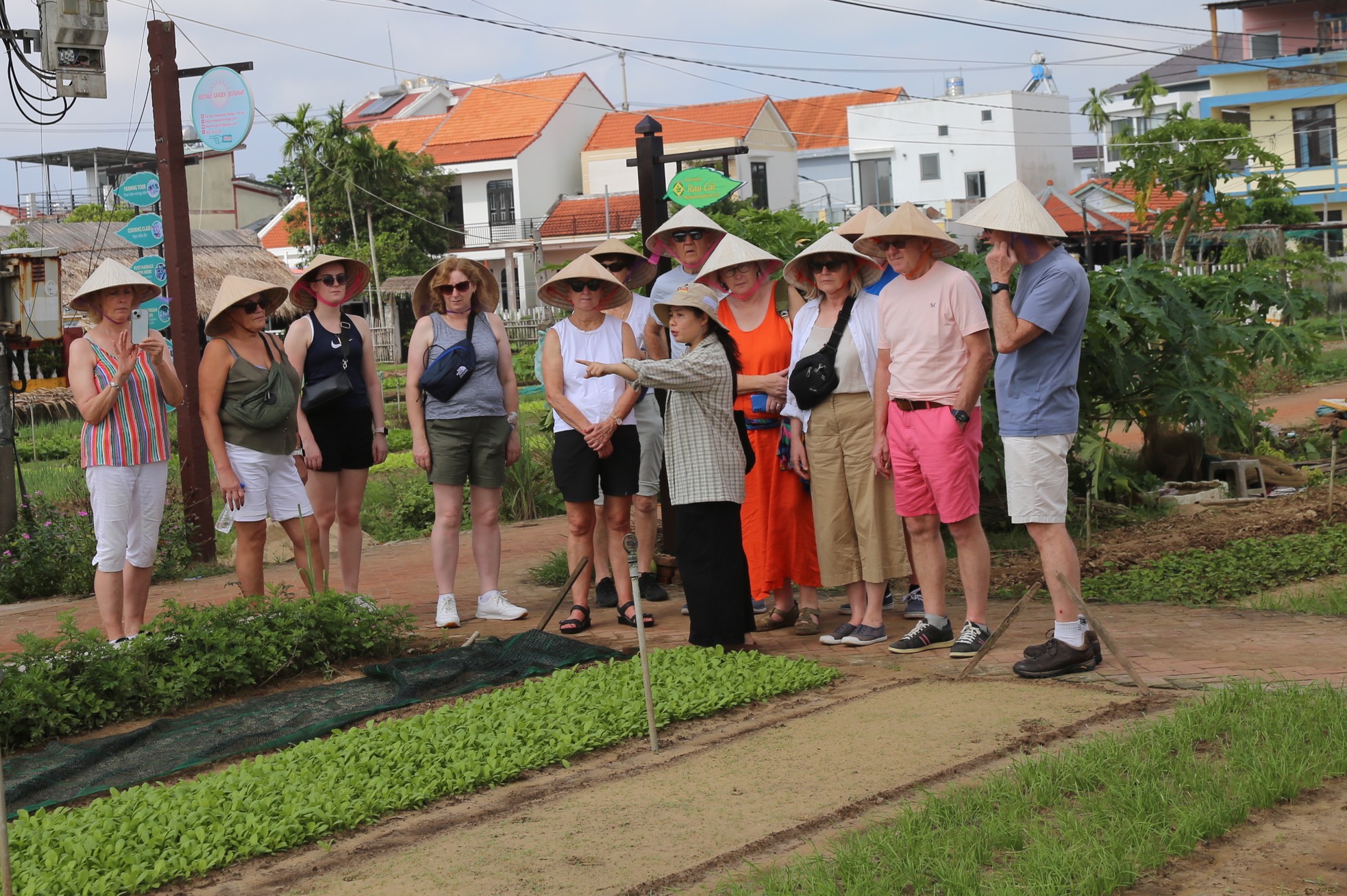 តើ​ស្លឹក​ឈើ​តូច​ៗ​នៅ​ទីក្រុង Hoi An ធ្វើ​ឱ្យ​ភ្ញៀវ​ទេសចរ​លោក​ខាង​លិច​ស្រក់​ទឹក​ភ្នែក​យ៉ាង​ណា? រូបថត 3