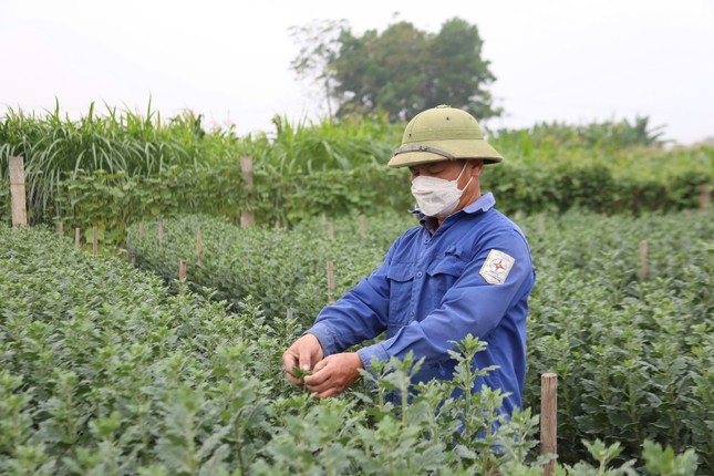 ロ川沿いの花の村は2025年の旧正月に向けて賑わう（写真5）