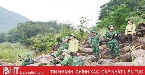 Cho những cánh rừng Hà Tĩnh thêm xanh