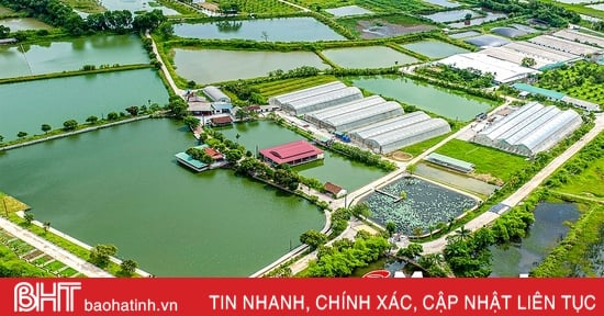 Phát triển kinh tế nông thôn ở Hà Tĩnh theo hướng hiện đại, hội nhập